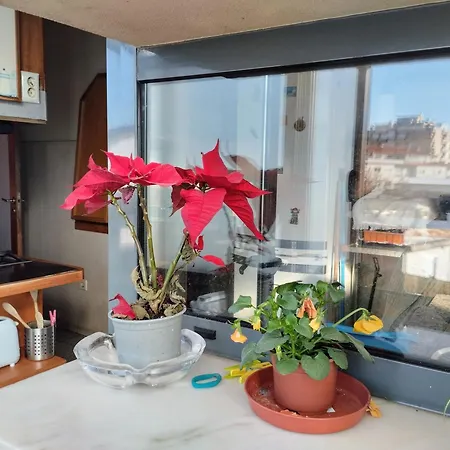 Homestay Sweets Espinho *